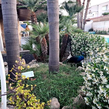 Dependance Oscar Apartman Carrozziere Fonte Ciane Kültér fotó